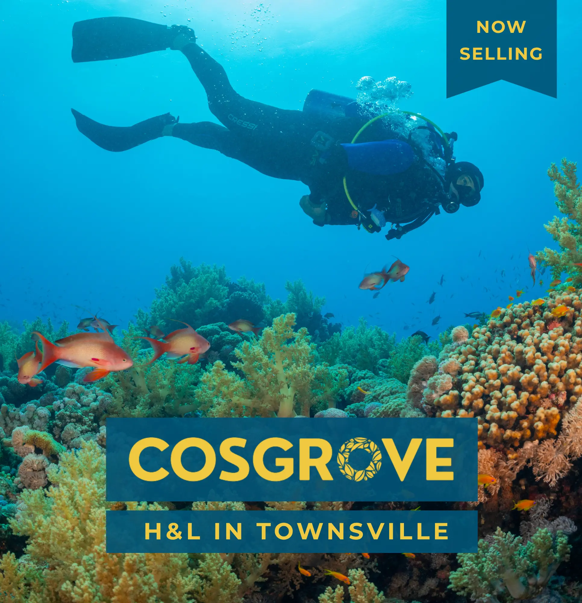 Cosgrove Townsville