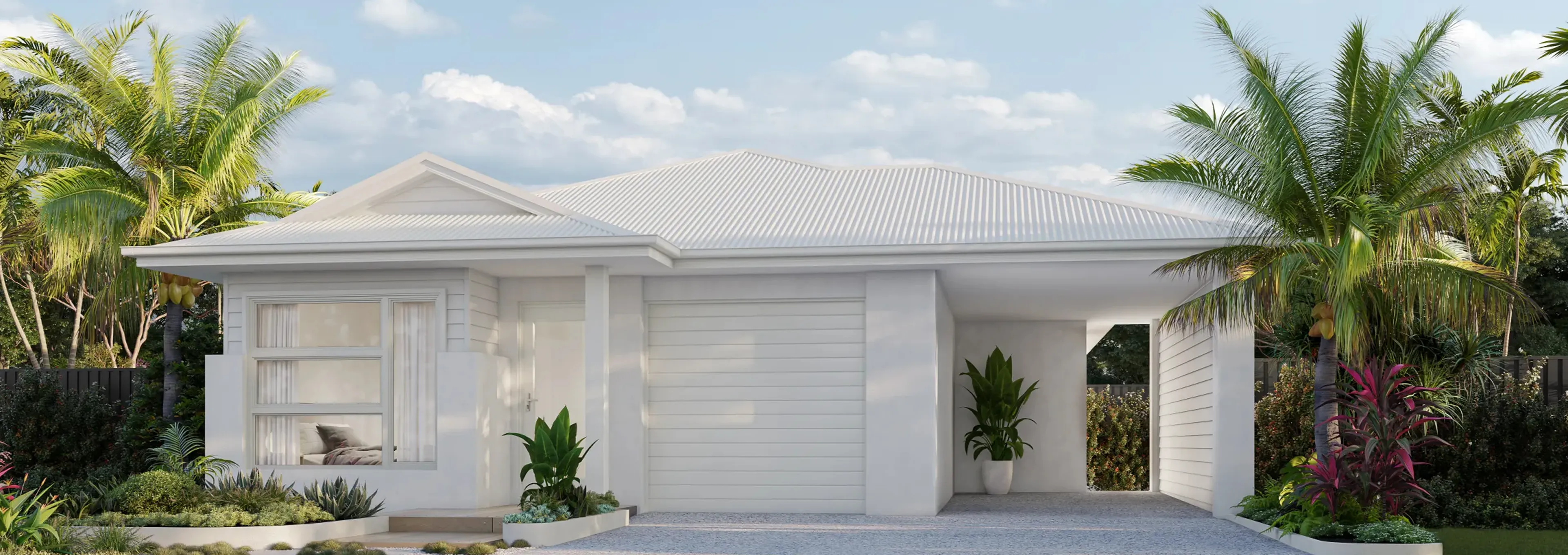 Solandri Serrata Coastal