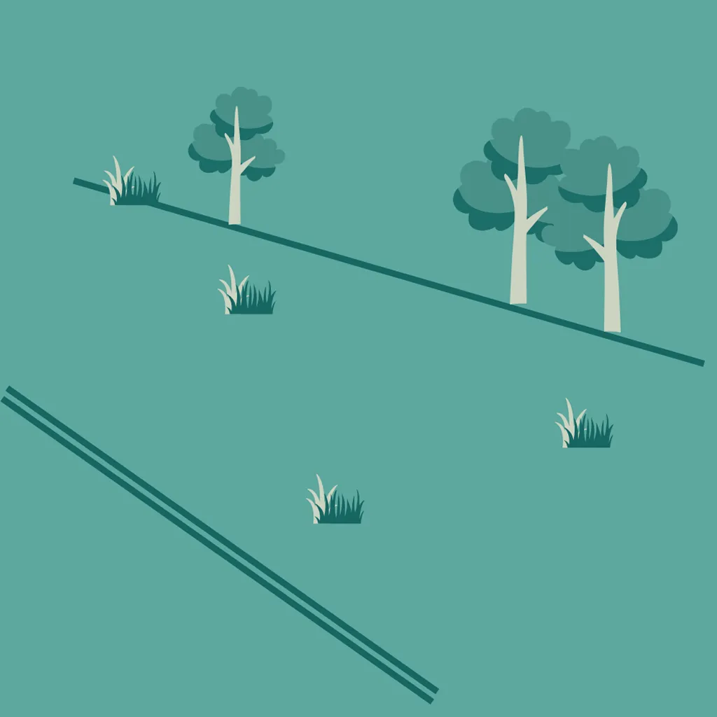 Ss Land Not Registered 5