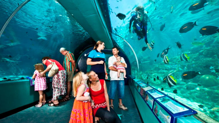 Aquarium Townsville